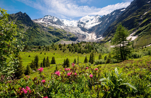 Votre séjour sur mesure dans les Alpes françaises en mai !