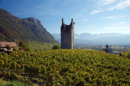 Panorama of the vineyards in the Combe de Savoie during a Tour of the Savoyard Vineyards