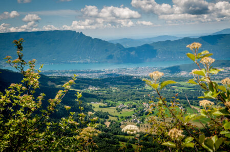 Vue sur le lac du Bourget depuis les hauteurs
