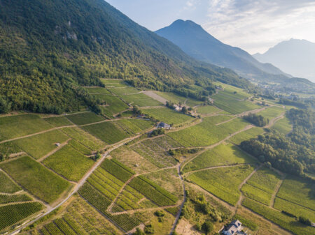 Vue sur les vignobles de la Combe de Savoie, à découvrir pendant un Tour des Vignobles Savoyards