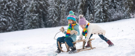 Deux petites filles vêtues de vestes et de bonnets chauds s'amusent à glisser sur une luge