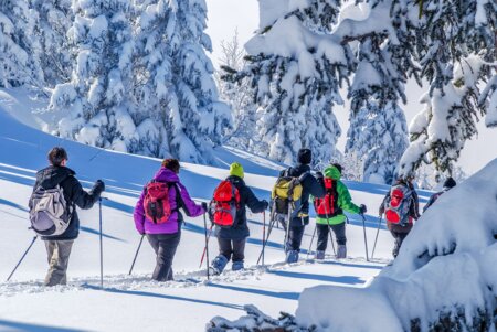A group of hikers walk on snowshoes in a snowy mountain landscape