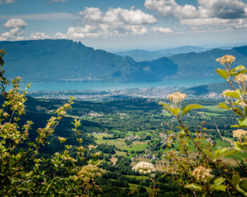 Discover a unique and fun team-building day in Aix-les-Bains!