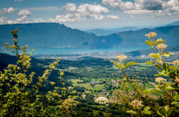 Event agency 1786 at the service of your corporate gatherings in Aix-les-Bains and beyond