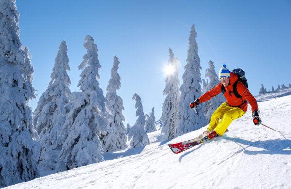 Séjour Ski dans les Alpes